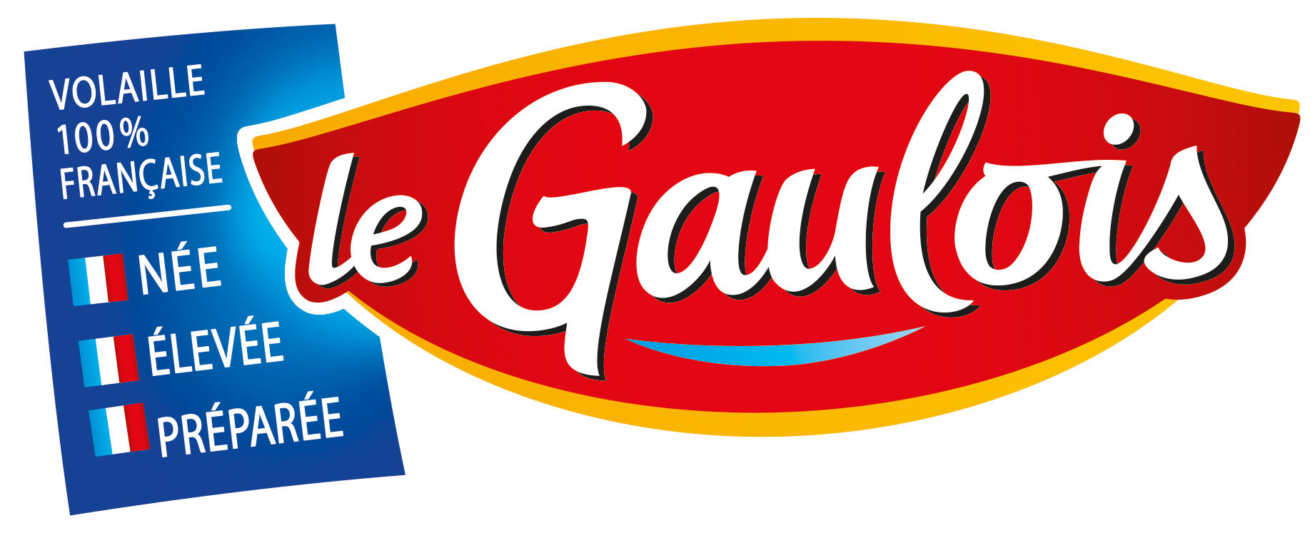 Nouveau-Logo-LG